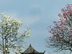 -凤凰沟景区