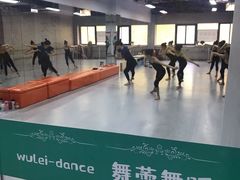 -舞蕾舞蹈(特长生校区)