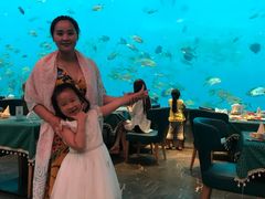 -瑞德姆美人鱼海底演艺主题餐厅(亚龙湾店)