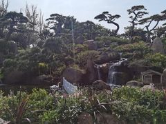 -罗红摄影艺术馆