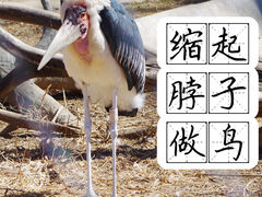 -北京动物园