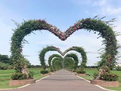 -迪茵湖田家舍生态农场