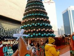 -Tiffany & Co.蒂芙尼
(南京德基广场店)