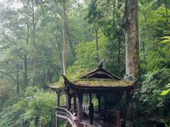 -青城山
