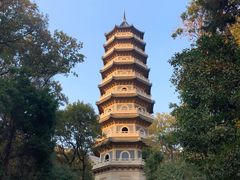 -灵谷景区