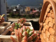 -唐咖精品咖啡(大理古城手冲店)