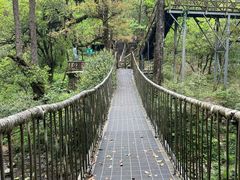 -龙苍沟森林公园