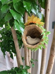 -新蝶变皮肤管理中心