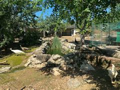 -丽泽山庄·生态怀柔菜·虹鳟鱼(红螺寺店)