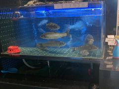 -衢农会·衢州菜·宴请(国际机场店)