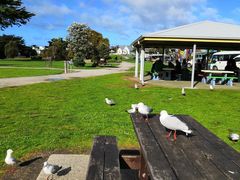 -Dooley's Premium Ice Cream