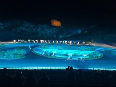 -鼎盛王朝康熙大典实景演出