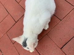 -山东鲁能乒乓球学校