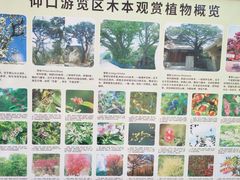 -崂山仰口游览区