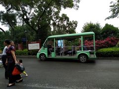 -金鸡山公园