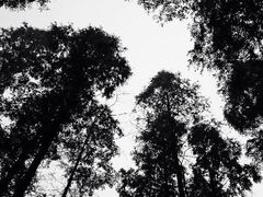 iphone_upload_pic-上海怡沁园度假酒店