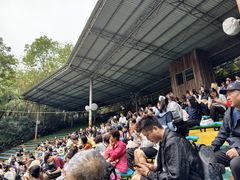 -大象剧场