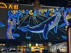 -坂田天虹