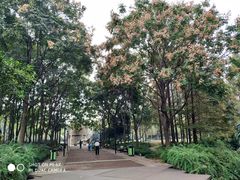 -苏州河梦清园环保主题公园