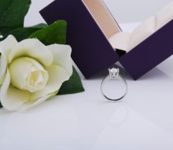 -威德钻石-克拉钻大本营(南京东路店)