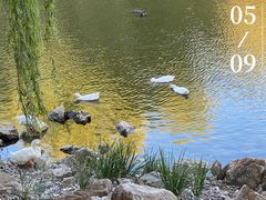 -北京张裕爱斐堡酒庄