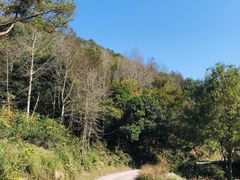 -宁波五龙潭景区