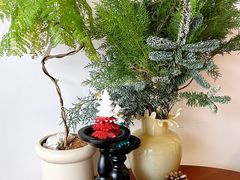 -PANDA QUEEN熊猫女王(成都店)