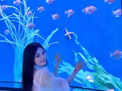 -沈阳海洋探索中心