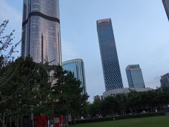 -大望京公园