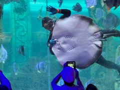 -哈尔滨波塞冬海底世界