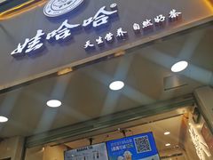门面-娃哈哈·奶茶(武林店)