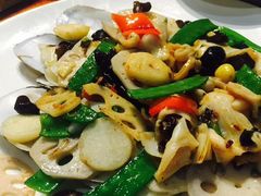 -顺德了能馆(虎门店)