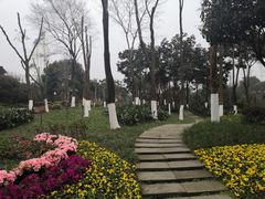 -大渡口区义渡公园