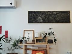 -团子君寿司·茶