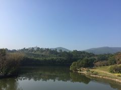 -大屏嶂森林公园
