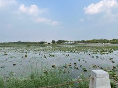 -天津东丽湖风景区