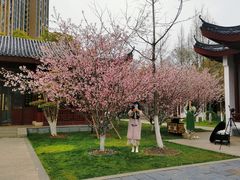 -堤角公园