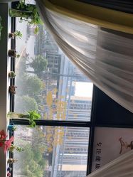 -尚艺造型.剪烫染.接发