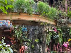 -正佳雨林生态植物园