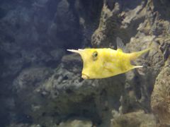 -福州罗源湾海洋世界旅游区