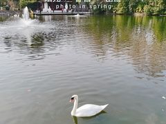 -莫愁湖公园