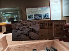 -洛阳周王城天子驾六博物馆