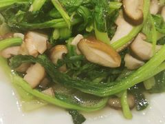 -冶春茶社(星汉大厦店)