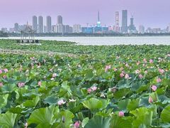 -云龙湖旅游景区