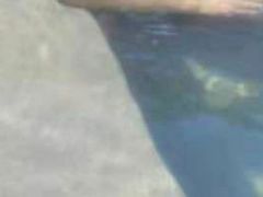 -咸宁万豪温泉谷度假区