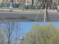 -黑龙江中医药大学