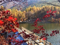 -龙道沟景区