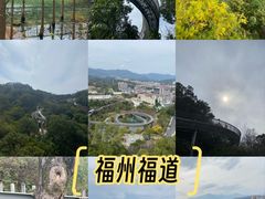 -福道