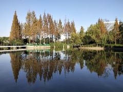 -黄兴公园