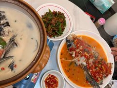 -全乐鱼馆·淳牌有机鱼直营店
